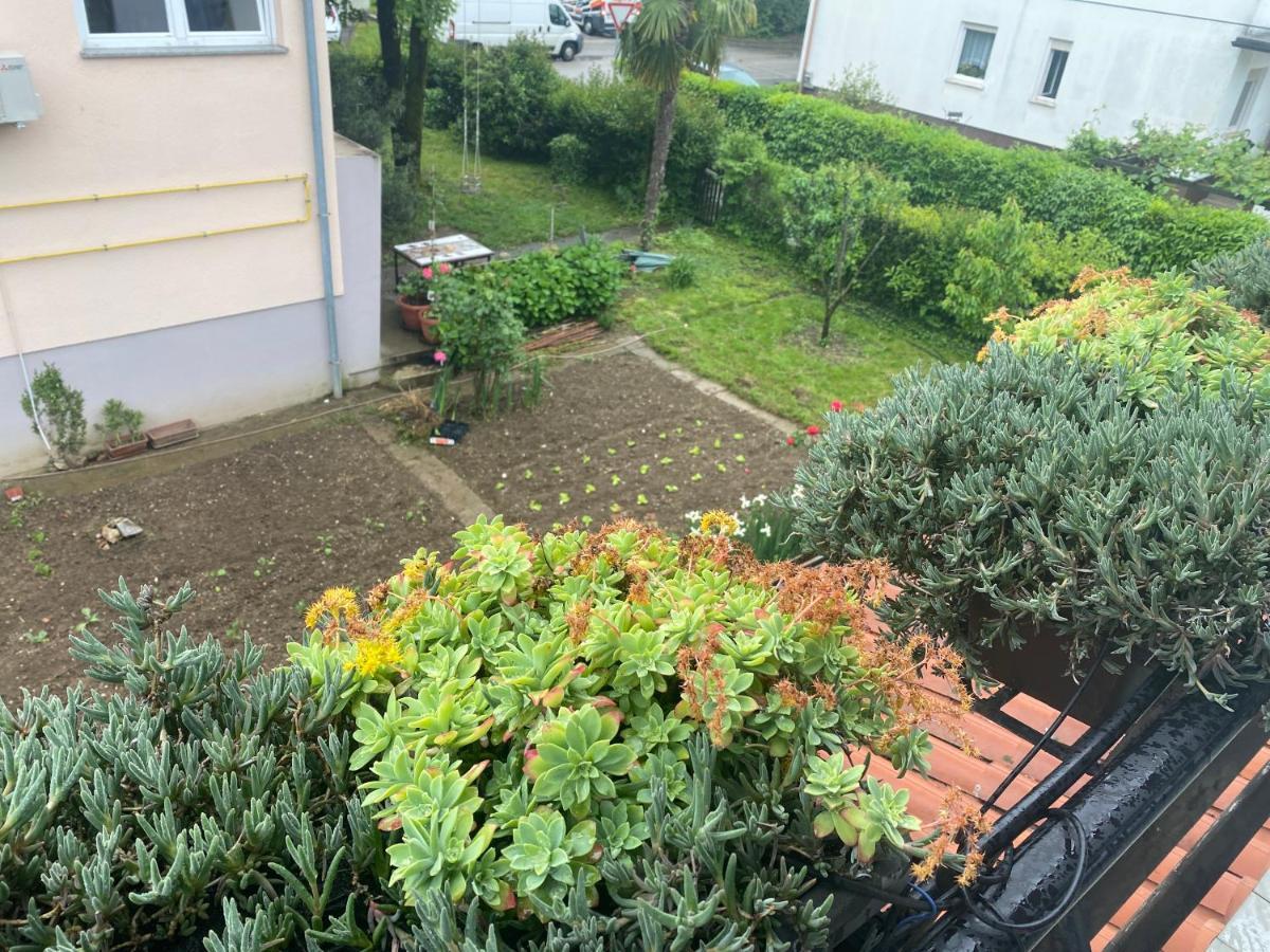 Apartma Magnolija Nova Gorica Exterior photo